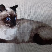 Работа «ТАЙСКИЙ КОТ ОТ РИОЛИС»