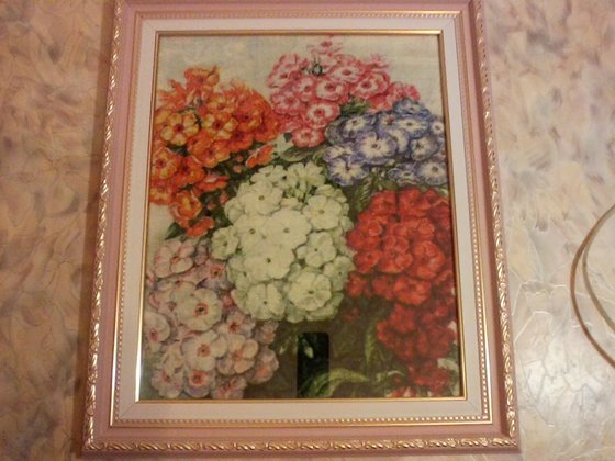 Работа «Флоксы»