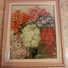 Работа «Флоксы»