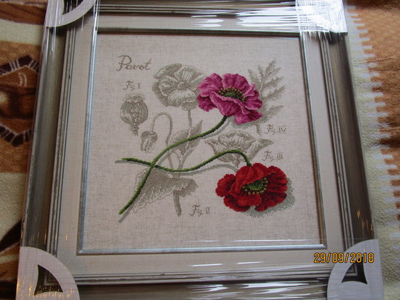 Работа «МАКИ серия Ботаника Вероники Ажинер»