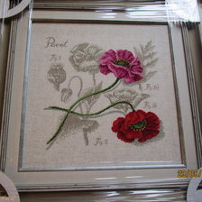 Работа «МАКИ серия Ботаника Вероники Ажинер»