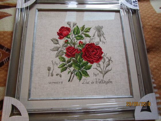 Работа «Розы Герцог Веллингтон , Ботаника Вероники Ажинер»