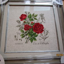 Работа «Розы Герцог Веллингтон , Ботаника Вероники Ажинер»