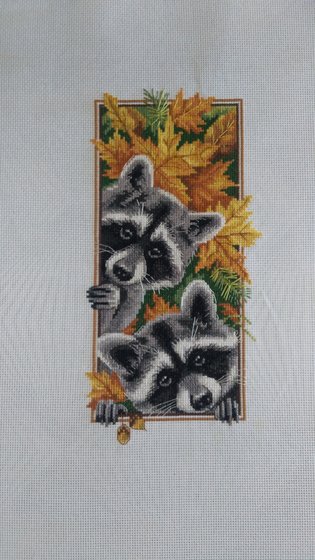 Работа «Любопытные еноты»