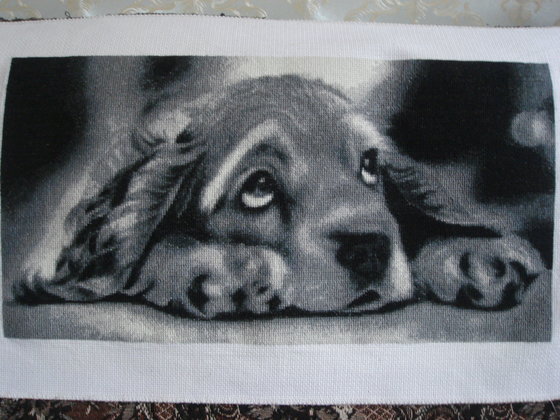 Работа «Любимая собачка»