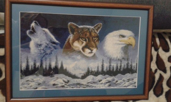 Работа «хищники»