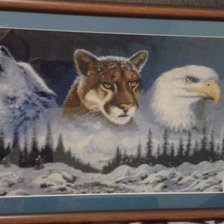 Работа «хищники»