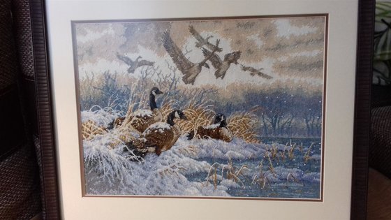 Работа «Zimnie utki»