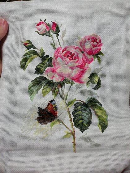 Работа «Роза и бабочка»