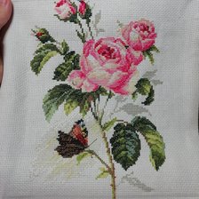 Работа «Роза и бабочка»