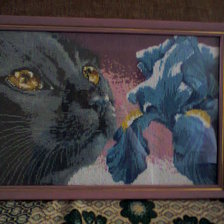 Работа «Мой Рафаэль»