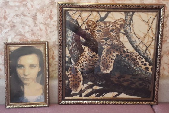 Работа «№74019»