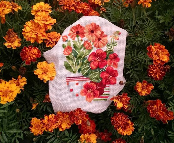 Работа «Нагідки і Настурціїї Ріоліс»