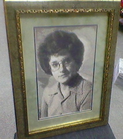 Работа «№74217»