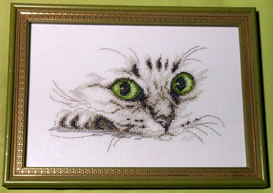 Работа «Взгляд кота.»