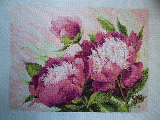 Работа «Piwonie»