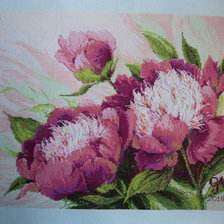 Работа «Piwonie»