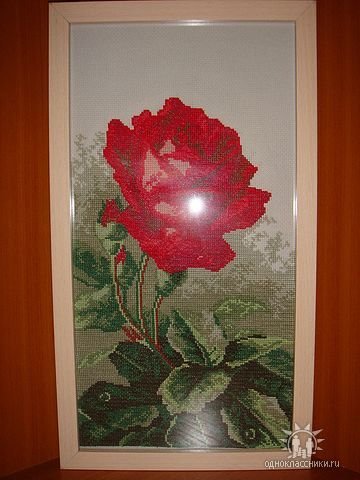 Работа «№74348»