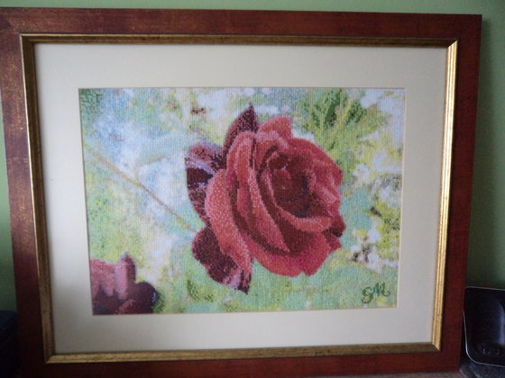 Работа «Moja róża»