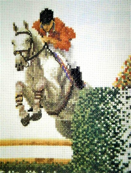 Работа «Saltando...»