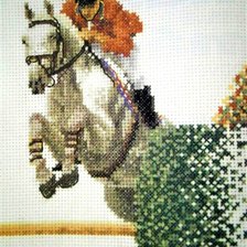 Работа «Saltando...»