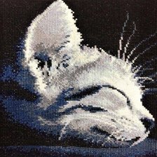 Работа «Charlie duerme...»