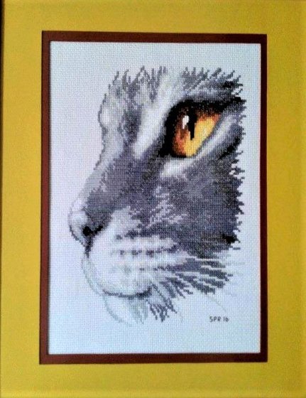 Работа «Mirada de Lince...»