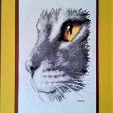 Работа «Mirada de Lince...»