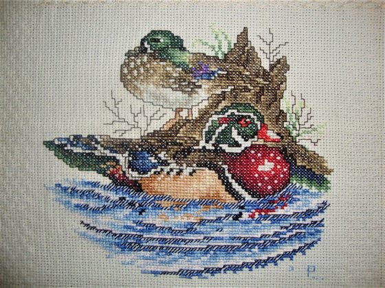 Работа «Patos salvajes 1...»