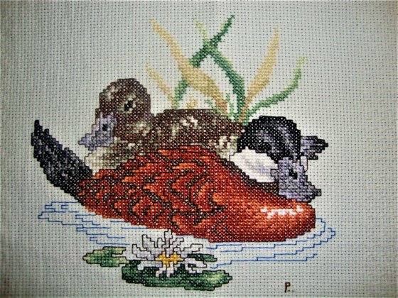 Работа «Patos salvajes 2...»