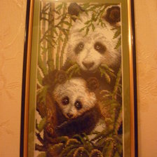 Работа «№74455»