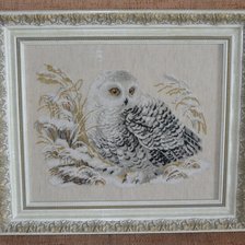 Работа «Полярная сова»