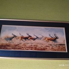 Работа «№74501»