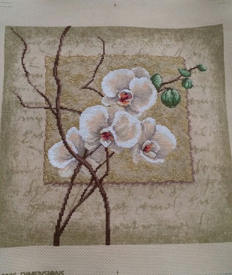 Работа «Орхидеи»