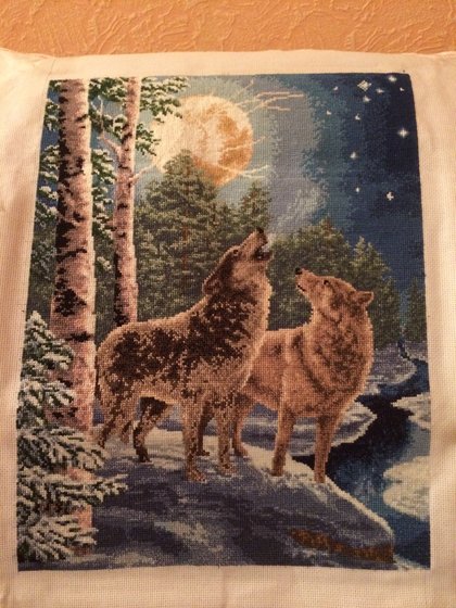 Работа «№74631»