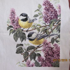 Работа «№74927»