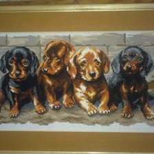 Работа «Щенки.»