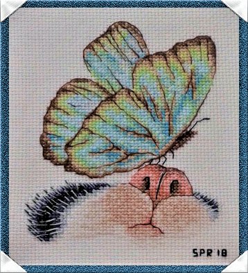 Работа «NARIZ CURIOSA...»