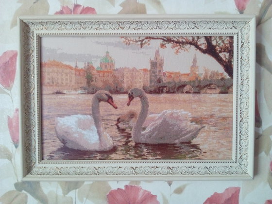 Работа «Лебеди. Прага.»