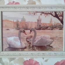 Работа «Лебеди. Прага.»