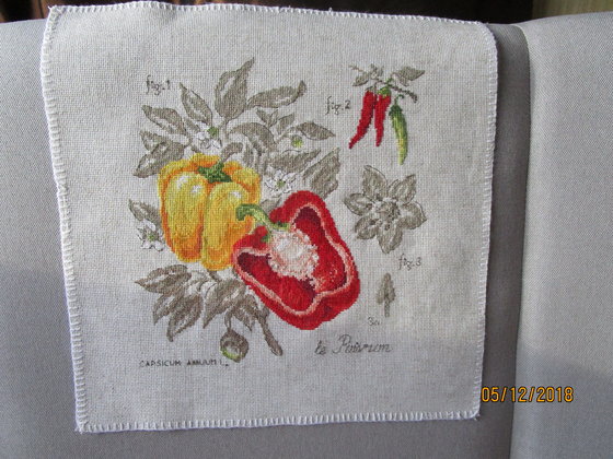 Работа «Перец из серии Ботаника Вериники Ажинер»