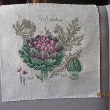 Работа «Артишок из серии Ботаника Вероники Ажинер»