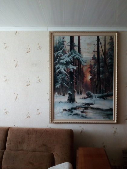 Работа «зимний закат в еловом лесу GK 1682»