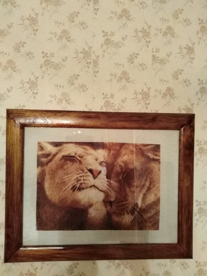 Работа «Влюбленные львы»