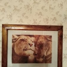 Работа «Влюбленные львы»