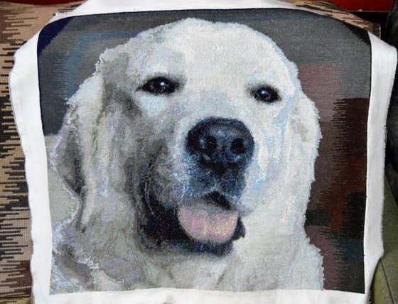 Работа «Nika»