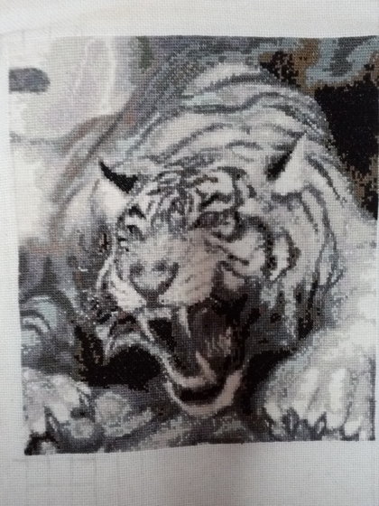 Работа «яростный тигр»