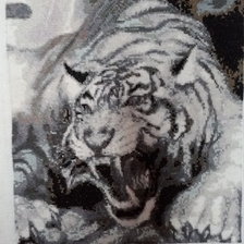 Работа «яростный тигр»