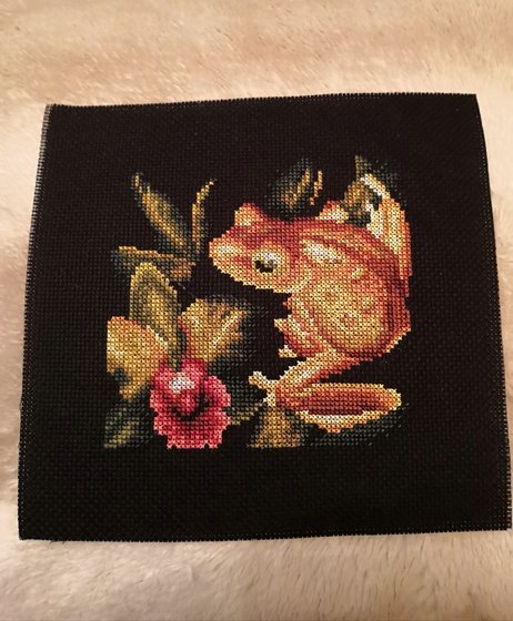 Работа «Panna / Золотая лягушка»