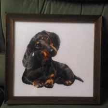 Работа «Такса от Риолис»